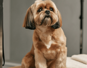 Название оказываемой услуги или специального предложения